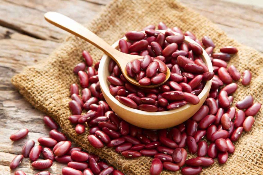 5 Things You Didn’t Know About Red Kidney Beans